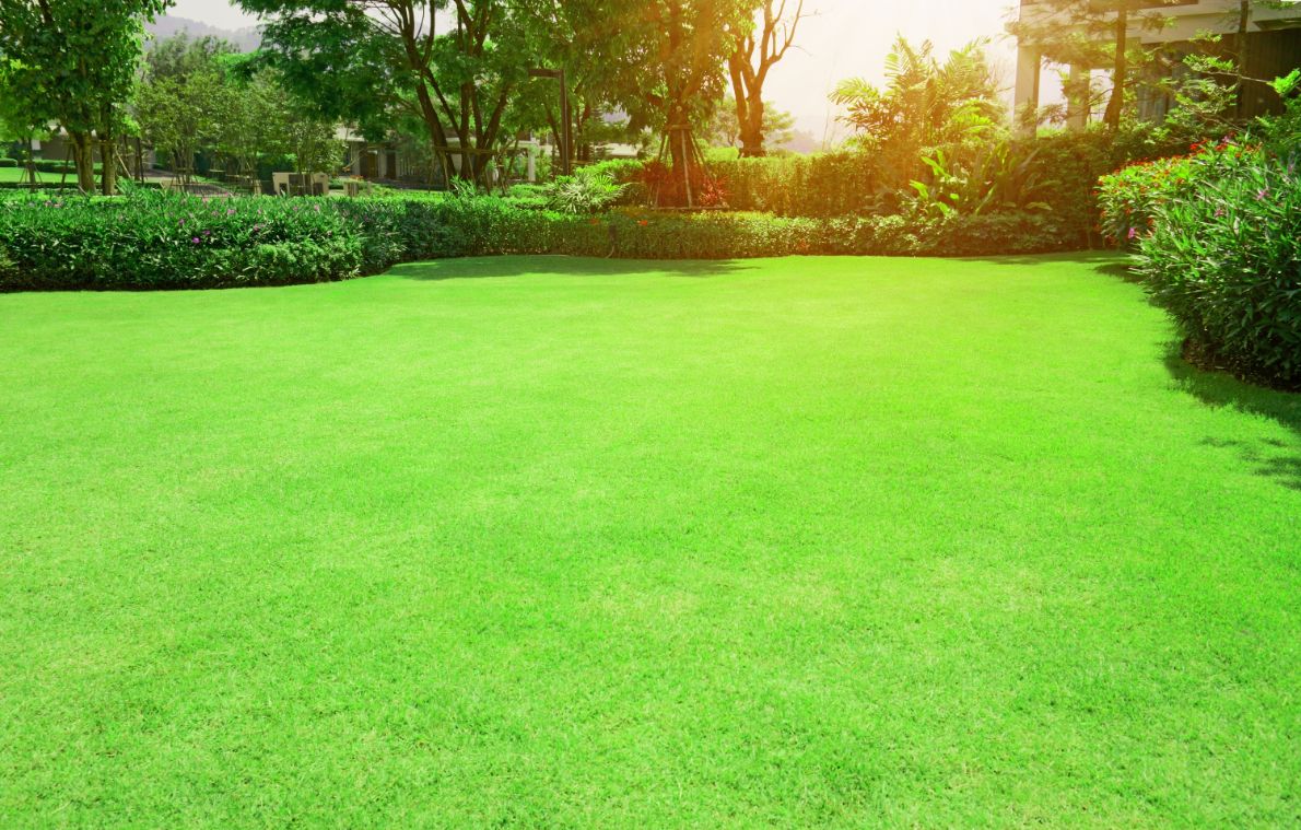 Valorisation de terrain Suresnes